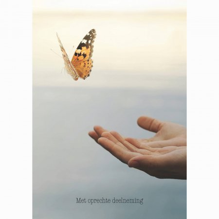 Kaart Condoleance Butterfly